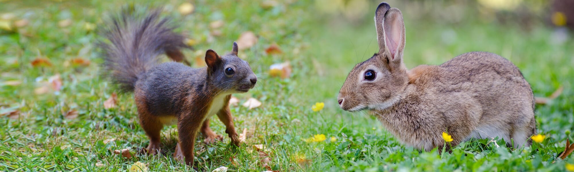 Squirrels and Rabbits Dismissing Evidence from Unpopular Sources